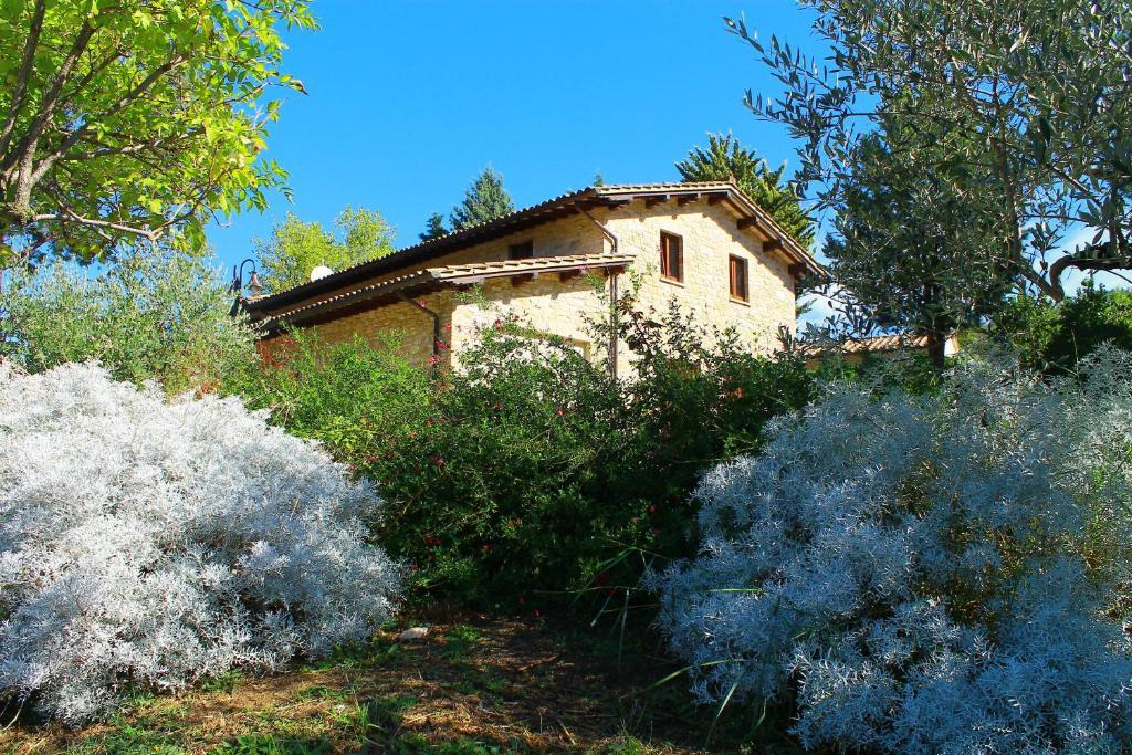 Gasthaus Antica Fonte Assisi Exterior foto