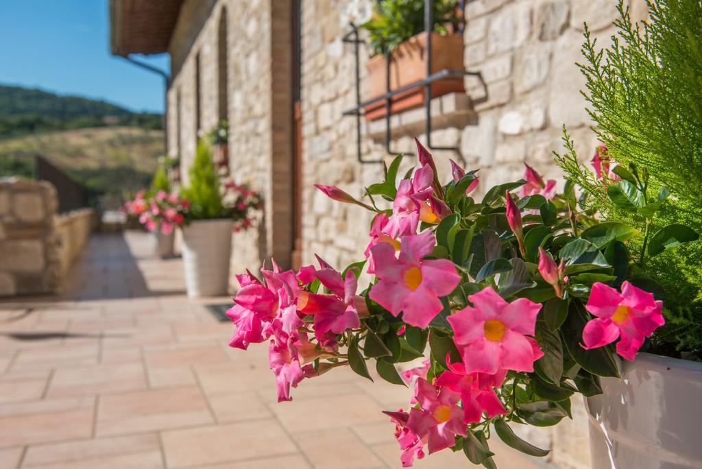 Gasthaus Antica Fonte Assisi Exterior foto